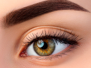 Closeup shot of the henna eyebrow of a woman